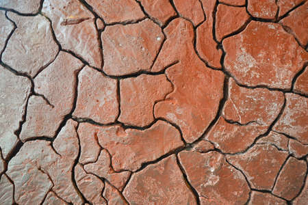 caked dry mud in drought conditions の写真素材