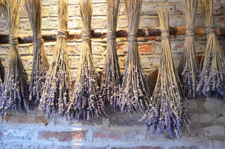 lavender bundles hanging for drying