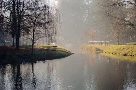 Misty forestの写真素材