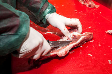 The processing of the pig and its transformation into meats, sausages and other craft products 