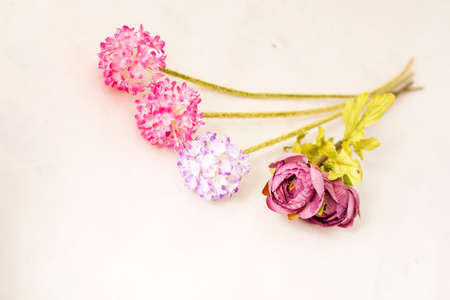 Fabric flowers are very similar to the flowers of garlic, very colorful on a white backgroundの写真素材