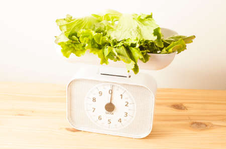 Head of lettuce on a white balanceの写真素材