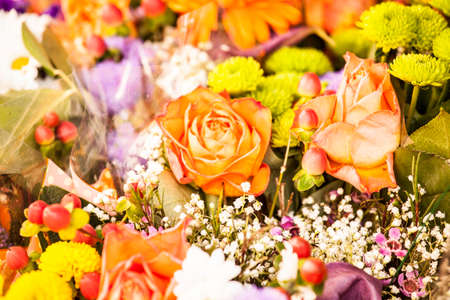 Plants, flowers for sale in a market in Trieste, springの写真素材