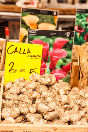 Plants, flowers for sale in a market in Trieste, springの写真素材