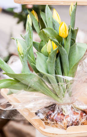 Plants, flowers for sale in a market in Trieste, springの写真素材