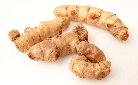 Fresh turmeric roots on a white background.の写真素材