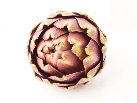 Artichoke, typical Roman vegetable , Italy, in the studio on a white background.の写真素材