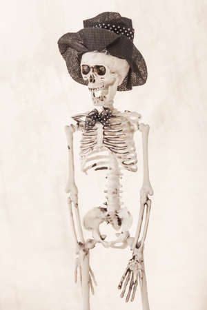 Fired skeleton with hat and bow-tie on white background with space for text.の写真素材