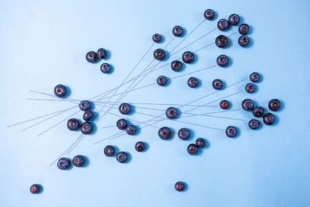 Studio photo shoot of fresh blueberries, minimal composition