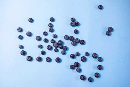 Studio photo shoot of fresh blueberries, minimal compositionの写真素材