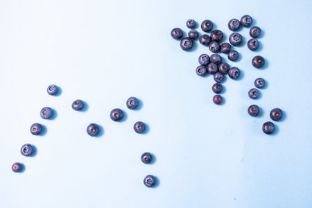 Studio photo shoot of fresh blueberries, minimal compositionの写真素材