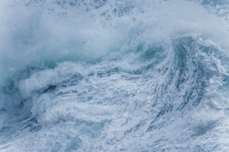 The sea and its beautyの写真素材
