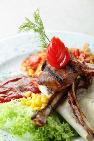 meat with garnish, sauce and salad on white dishの写真素材