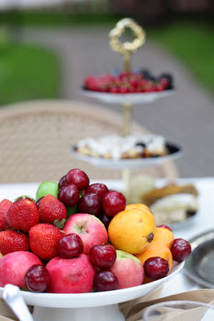 clean and beautiful table with food in a forestの写真素材
