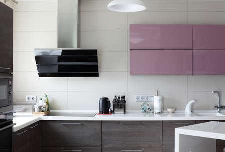 european brand new bright kitchen in the house