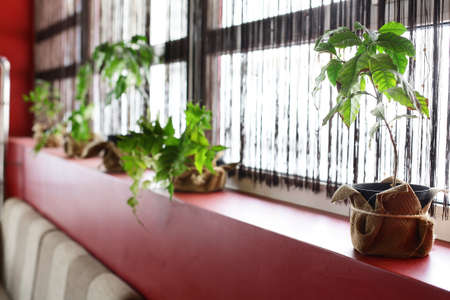 modern european restaurant with nice and bright interiorの写真素材