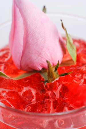 bright and fresh european cocktail on white backgroundの写真素材