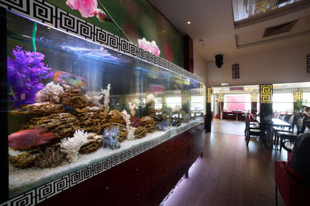 beautiful brand new european restaurant in downtownのeditorial素材