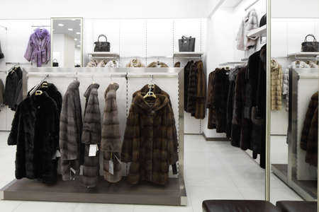luxury and fashionable brand new interior of fur store