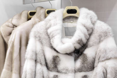 luxury and fashionable brand new interior of fur storeの写真素材
