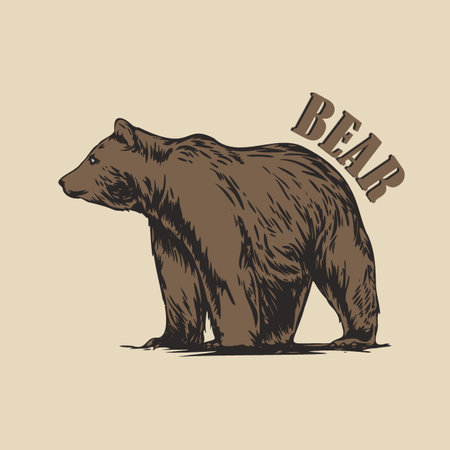Bear Vector Art, Illustration and Graphicのイラスト素材