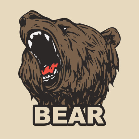 Bear Vector Art, Illustration and Graphicのイラスト素材