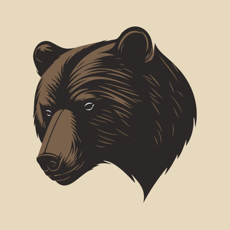 Bear Vector Art, Illustration and Graphicのイラスト素材