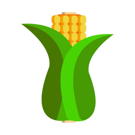 Illustration of wrapped corn isolated on white background. Fresh cornのイラスト素材