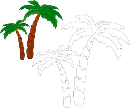 Palm trees coloring book. Vector illustrationのイラスト素材