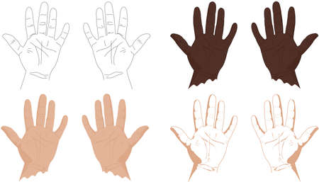 Right and left hands with lines of life, health, success, career and other. Vector illustrationのイラスト素材