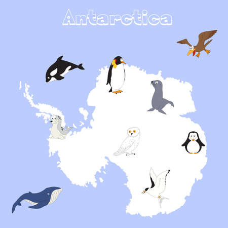 Fauna of Antarctica. Set of cartoon polar animals for babies and little kidsのイラスト素材