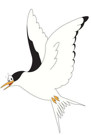 Cartoon gull for babies and little kids. Picture isolated on white backgroundのイラスト素材