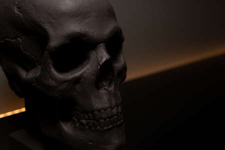 Decorative black skull. Place for text. Bust of the skull. Beautiful home decor for the interior. Copy space. Backlight.の写真素材