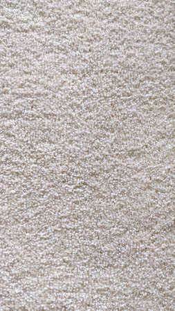 The texture of the carpet, textiles. White, Beige.