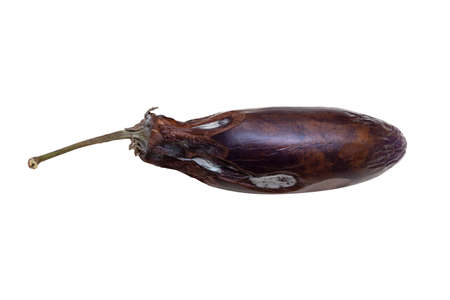 Spoiled eggplant on a white background. Mold on spoiled vegetables. Rotten food. Isolated.の写真素材