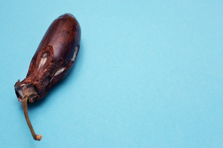Spoiled eggplant on a blue background with place for text. Mold on spoiled vegetables. Rotten food. Copy space. Mockup.の写真素材