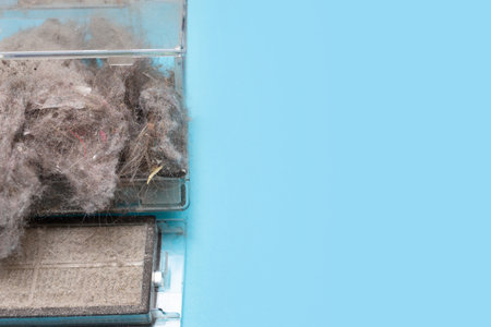Cleaning service. Copy space. Place for text. Top view. Flat lay. Container in the vacuum cleaner is completely clogged with dust and dirt. House, office and apartment cleaning. Dust filter.の写真素材