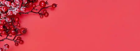 New Year banner with Christmas viburnum branches on red background. Copy space. Place for text. Layout for design. Flay lay. Top view.の写真素材
