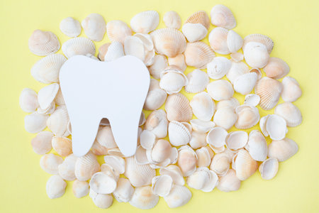 Healthy tooth model and seashells. Yellow background. Flat lay. Top view. Benefits of minerals for...