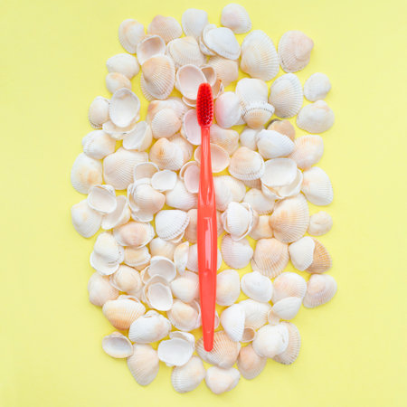Red toothbrush and seashells. Yellow background. Flat lay. Top view. Benefits of minerals for dental hygiene. Oral care. Copy space. Place for text. Strength of teeth and gums.の写真素材