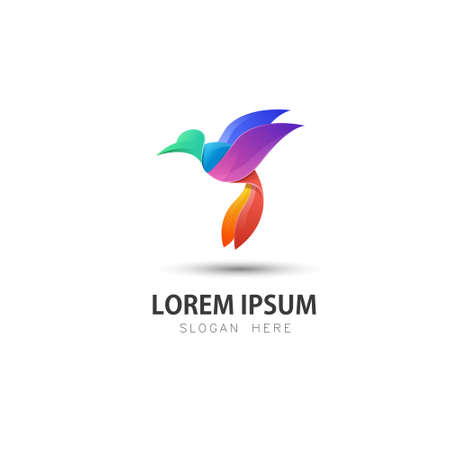Colorful Colibri Bird illustration logo templateのイラスト素材