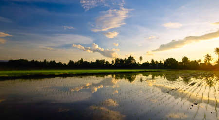 mirror morningの写真素材