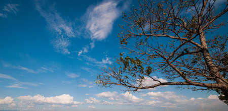 left for your siteの写真素材