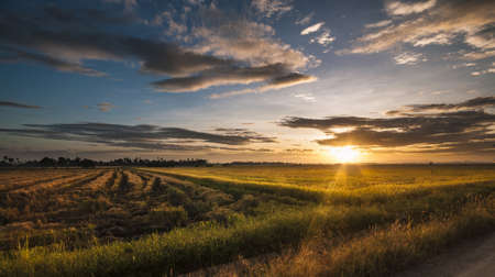 new morningの写真素材