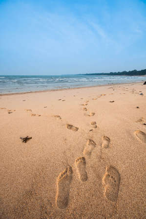 my step