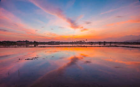 glory morning at fieldの写真素材