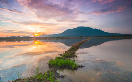 morning at fieldの写真素材