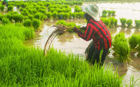 work hardの写真素材