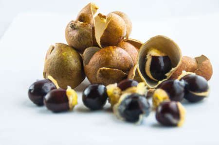 fruit or literally translated as Cat Eye Fruit , a subspecies of the Longan Fruit over white...