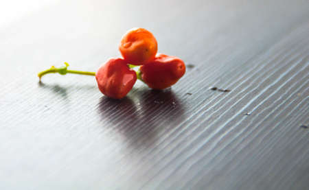 chili pepper isolated on a white backgroundの写真素材